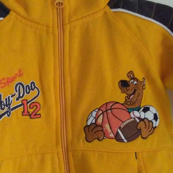 Jacket - Picture 2 of 8